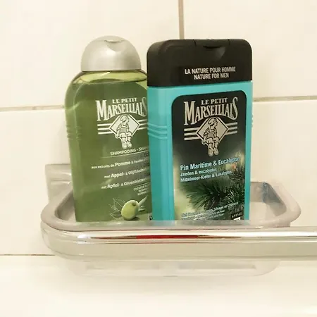 Проживание в семье Charmantes